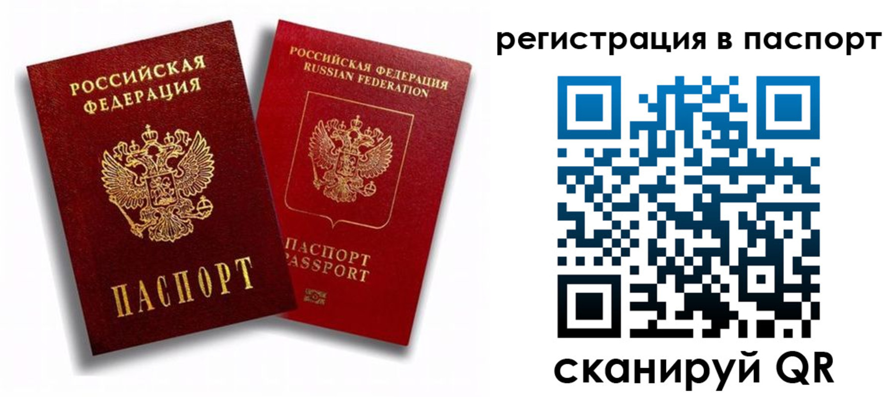 прописка 2025 в Димитровграде